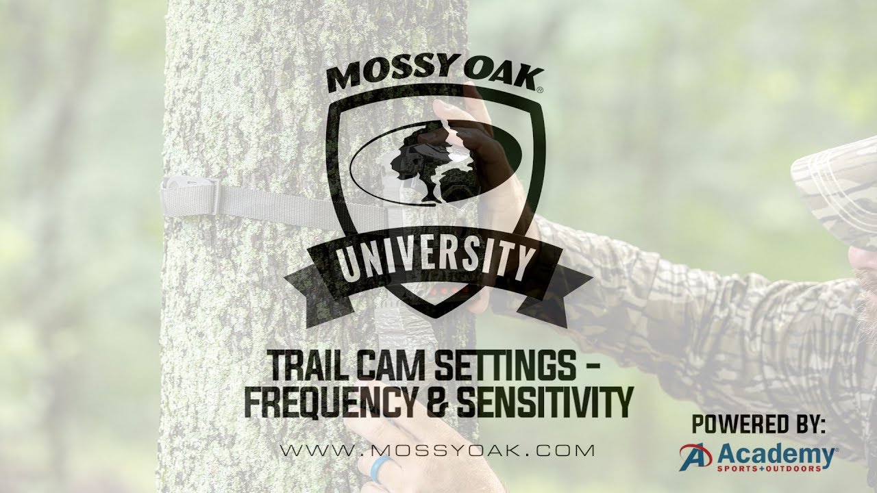 Trail Camera Setup - Frequency & Sensitivity
