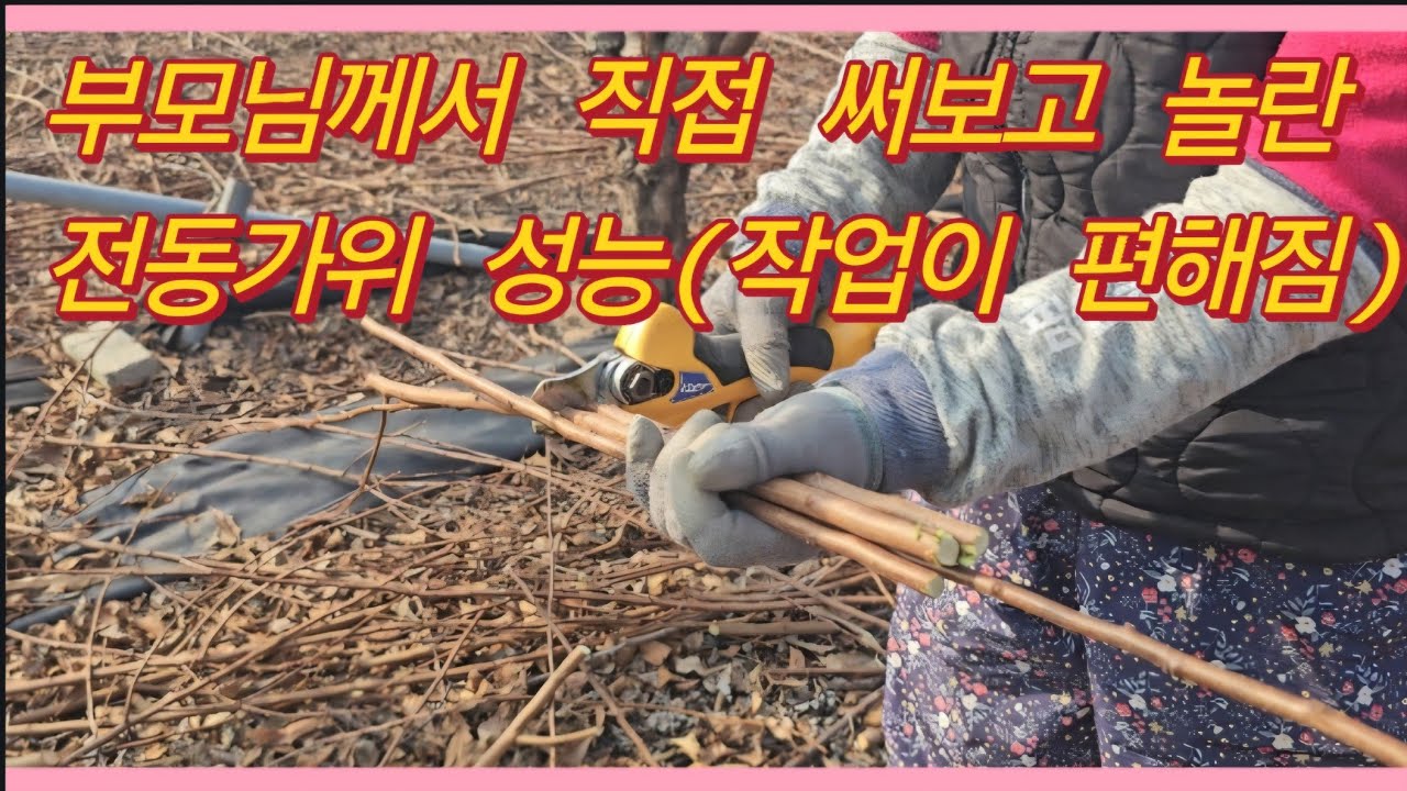 직접 써보고 작업이 편해 놀란 전동가위 성능!(농사의신)
