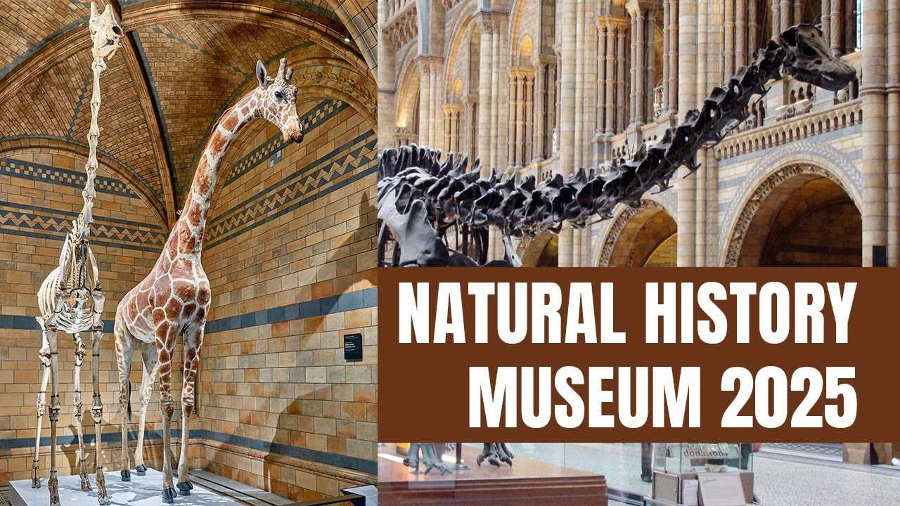 Natural History Museum London 2025 | Walkthrough