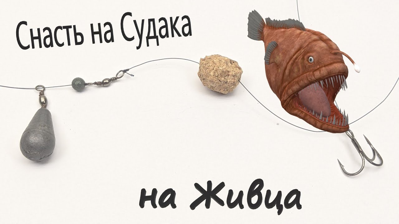 Снасть на судака на живца
