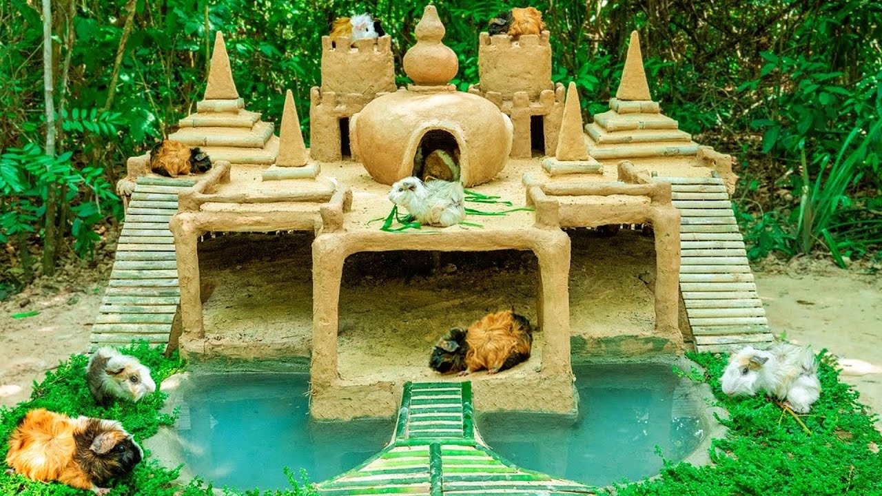 I Built A 7 Tower Mud Temple For My Guinea Pigs And Here's What Happened