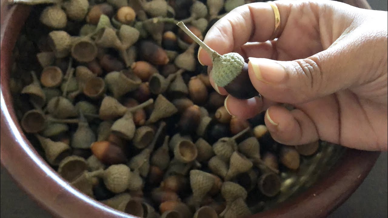 How To Prepare Acorns For Crafting|Christmas Decoration Ideas|Christmas Hack