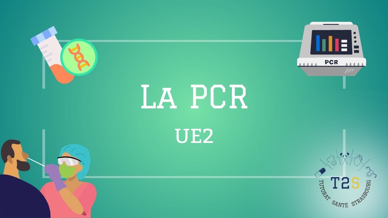 UE2 - La PCR
