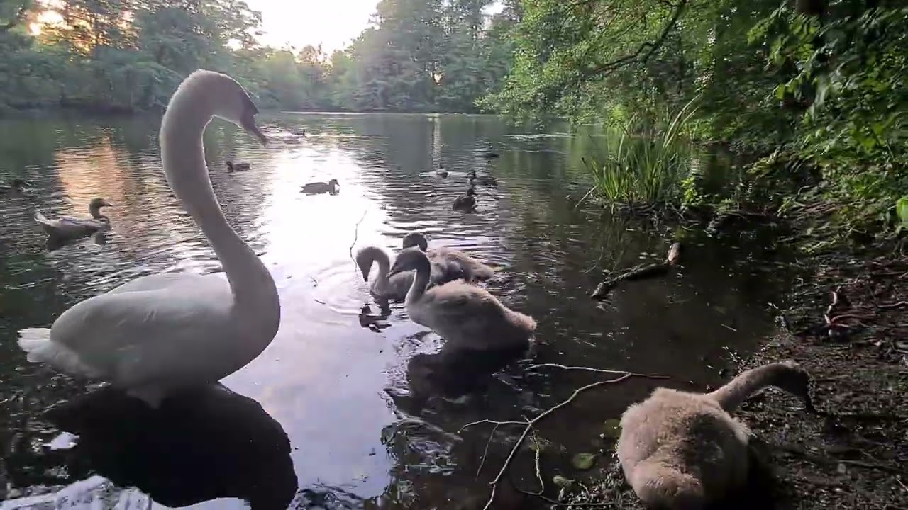 KLETTERPARK,Fischteiche,Paderborn-06.Juli 2024