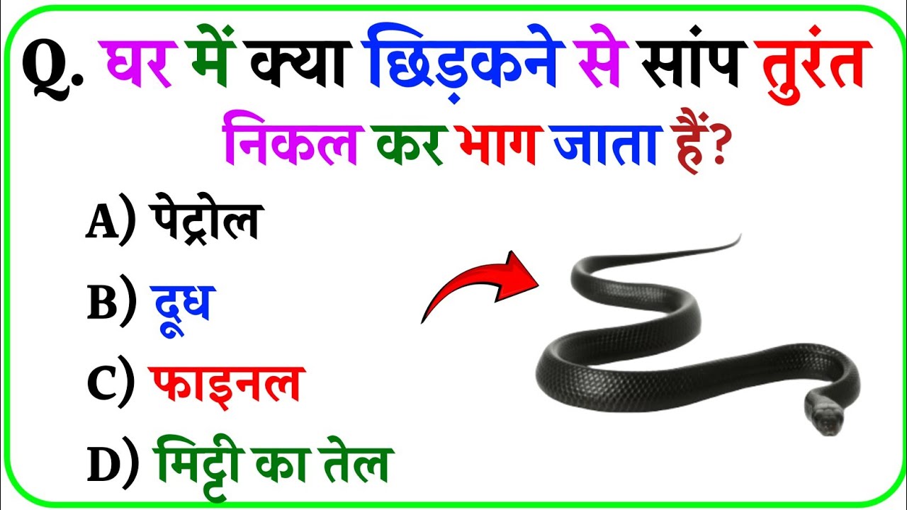 || Gk Questions || Gk In Hindi || Gk Ke Sawal ||  #future_gk_alert || Gk Quiz || Part 29