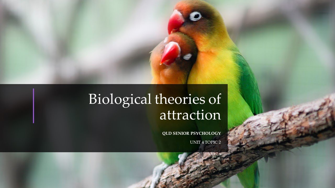 Biological Theories of Attraction