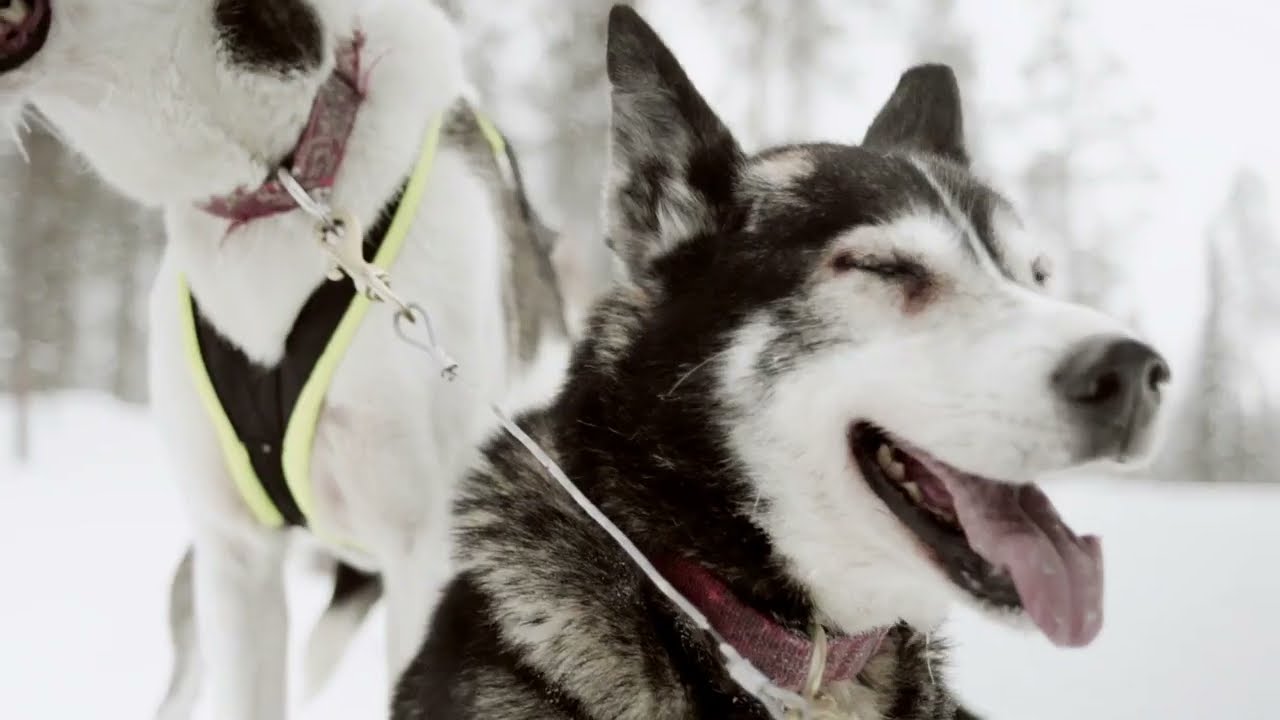 Pyh&auml; Ski Resort - Adventure starts here