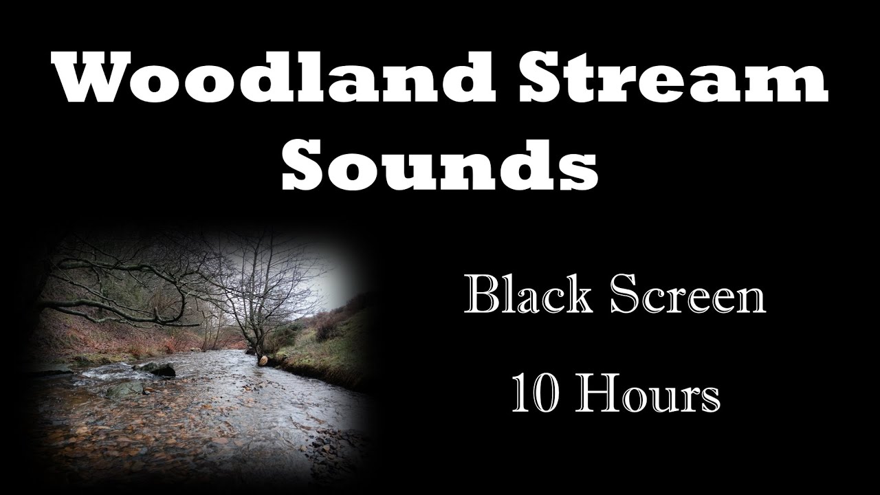 Soothing Stream Water Sounds for Sleep 😴 10 Hours of Pure Relaxation (Black Screen)