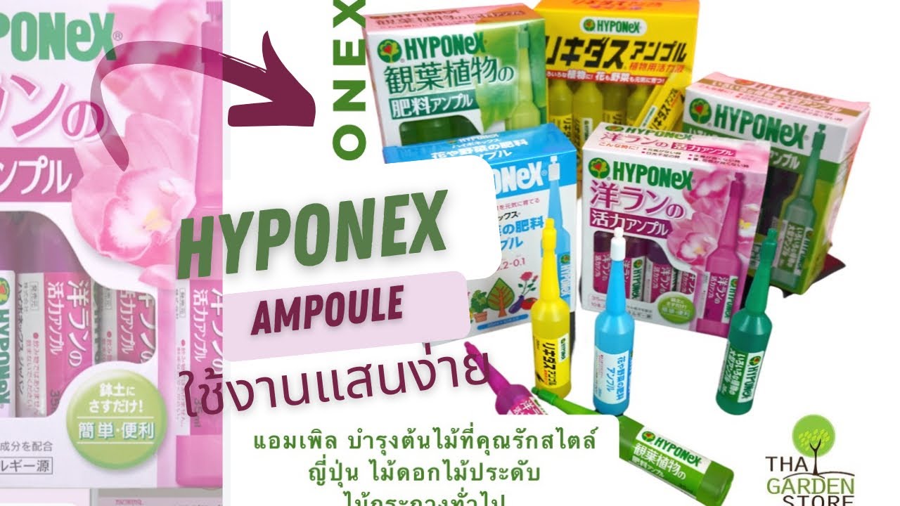 ใส่ปุ๋ยให้ไม้กระถางแบบง่ายๆด้วยปุ๋ยปัก Hyponex Ampoule กันค่ะ