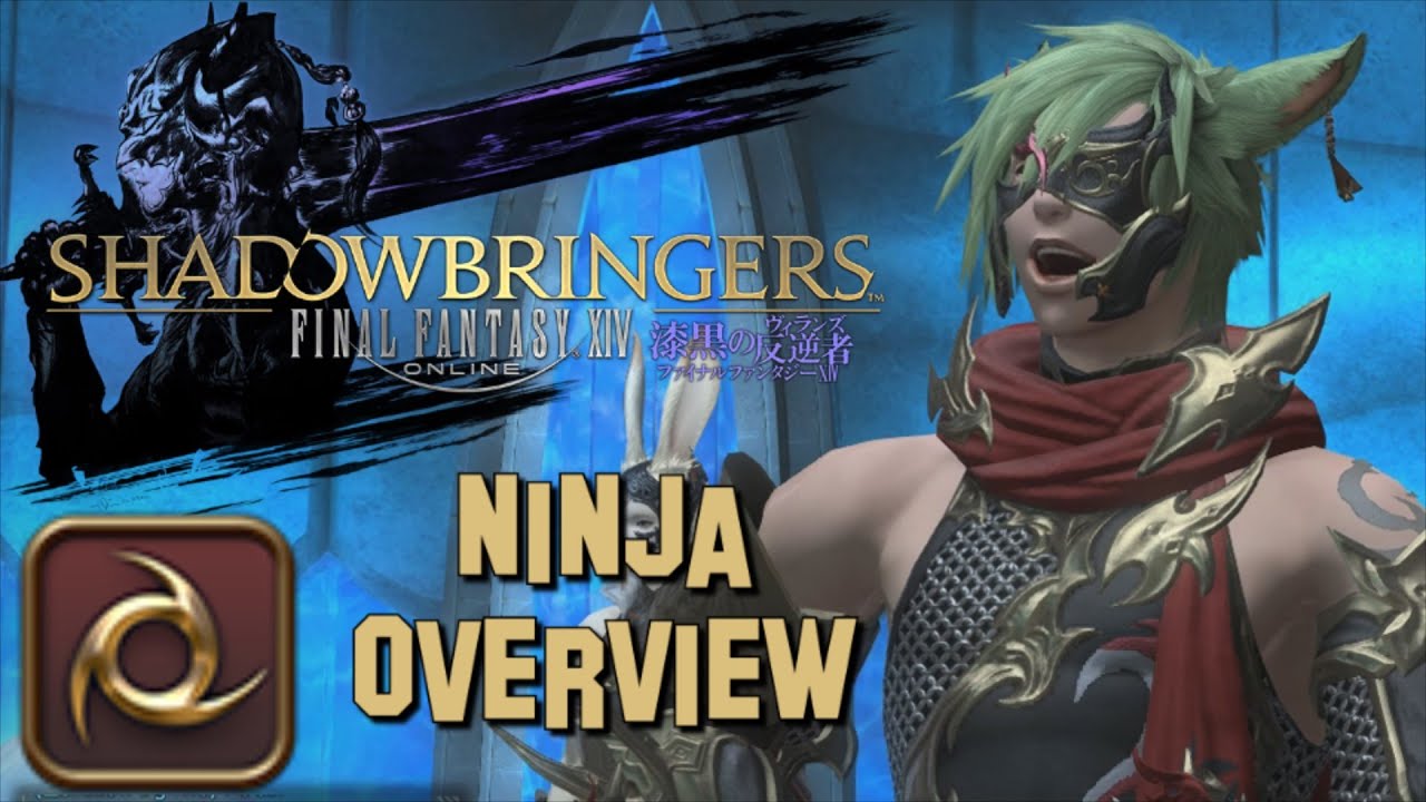 SHADOWBRINGERS - Ninja Changes & Overview