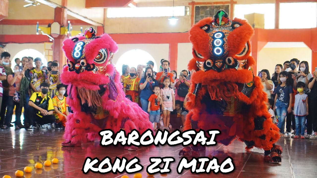 ATRAKSI BARONGSAI KONG ZI MIAO DI SEJIET BOEN SAN BIO 2023 🔥