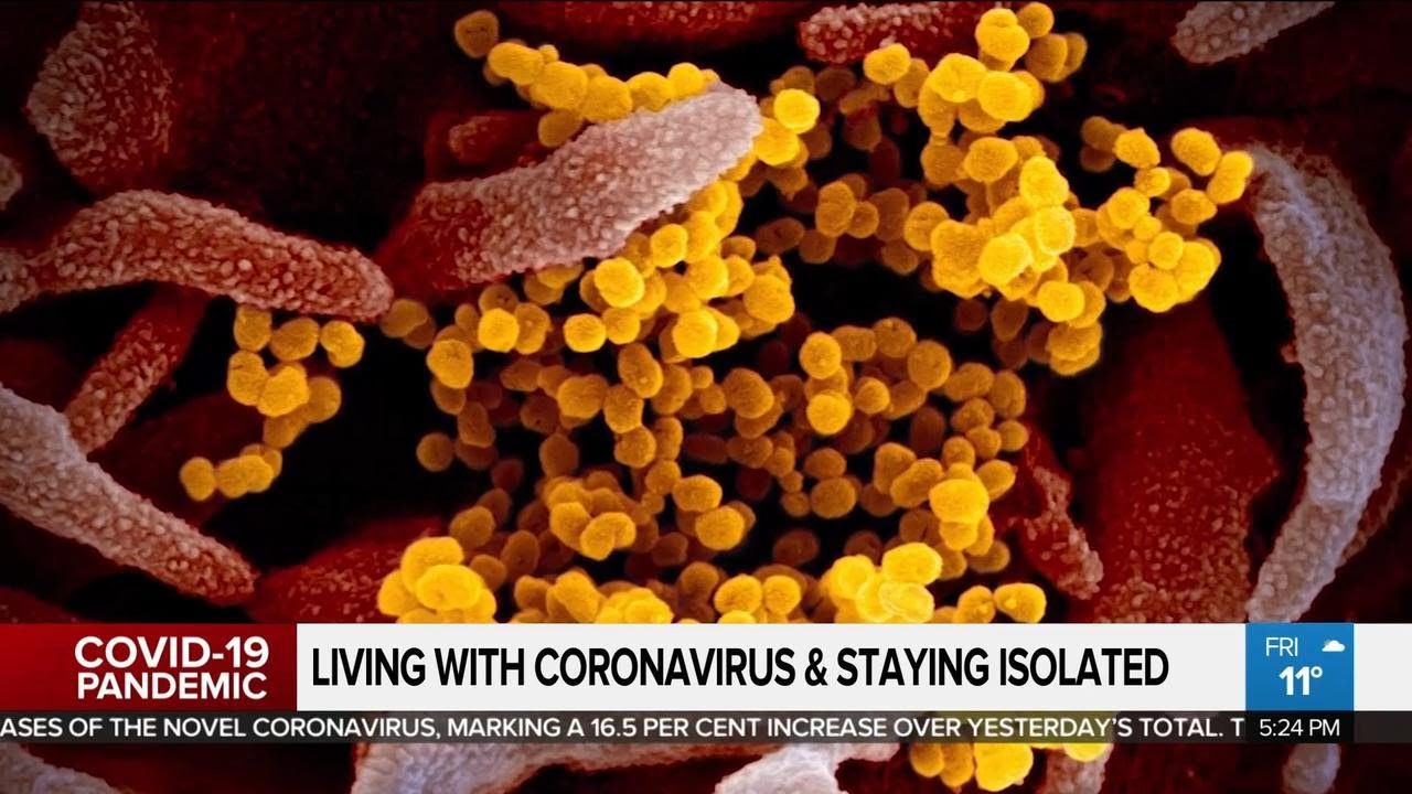 Coronavirus patients speak about fear of passing on COVID-19