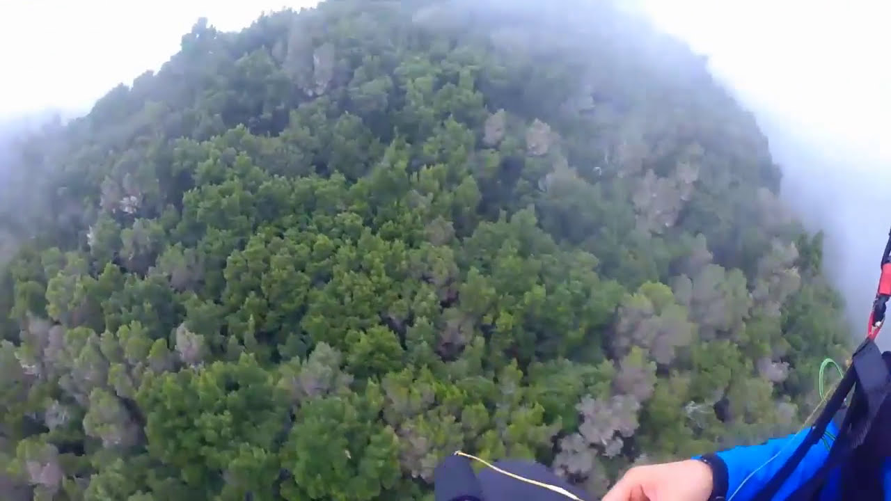 ALISIOS EXPERIENCES -PARAPENTE (EL HIERRO)