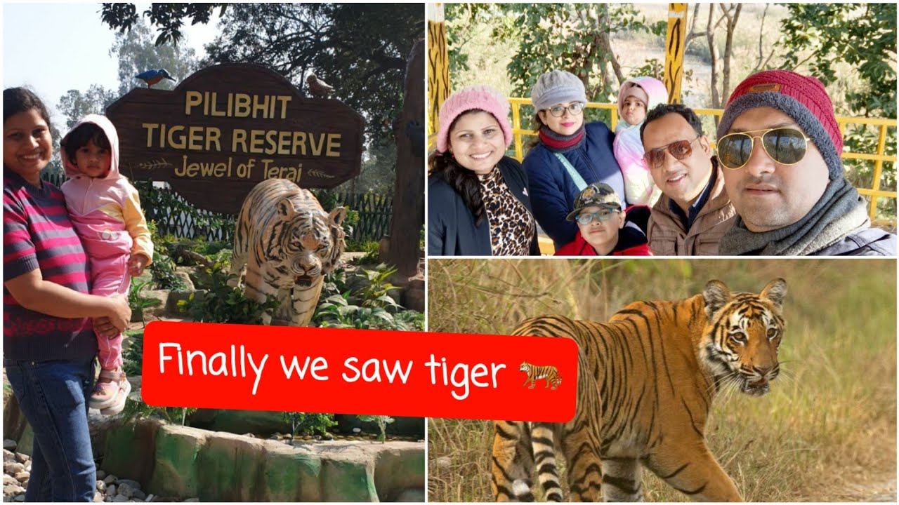 Chuka Beach Pilibhit Tiger Reserve U.P. ( Part-3) | Tiger Safari