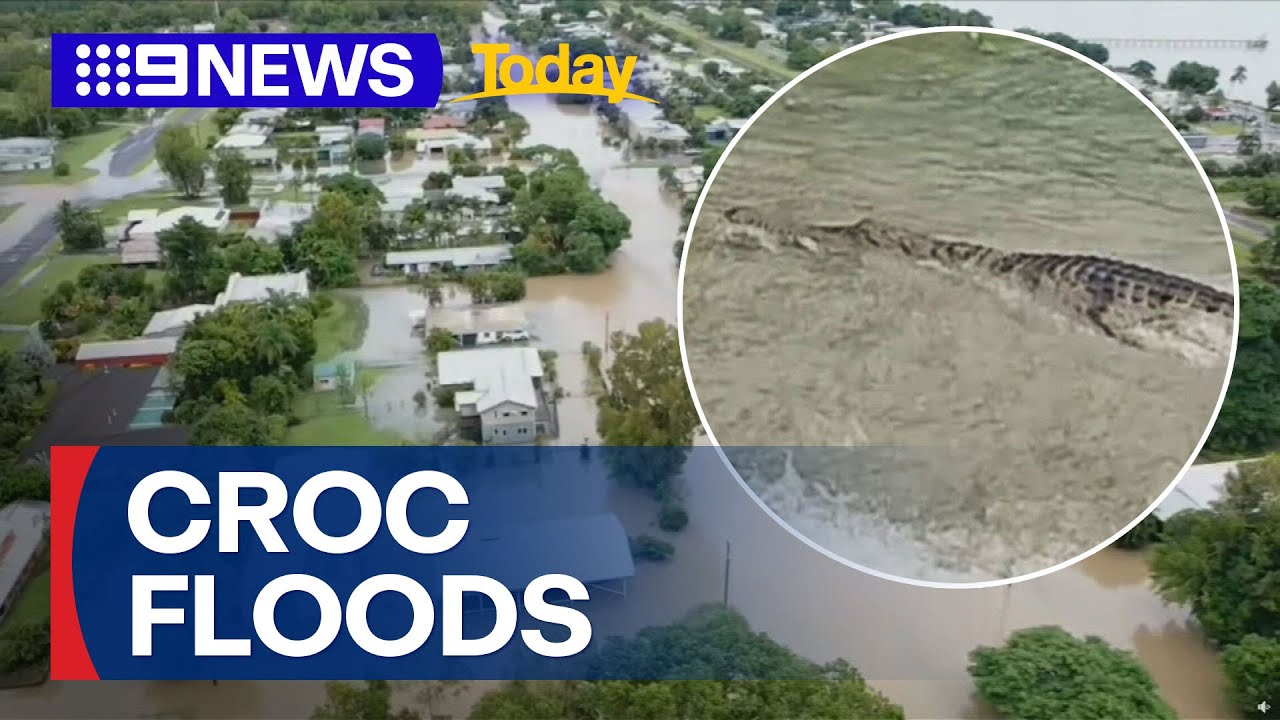 Crocs spotted in floodwaters as North Queensland emergency continues | 9 News Australia