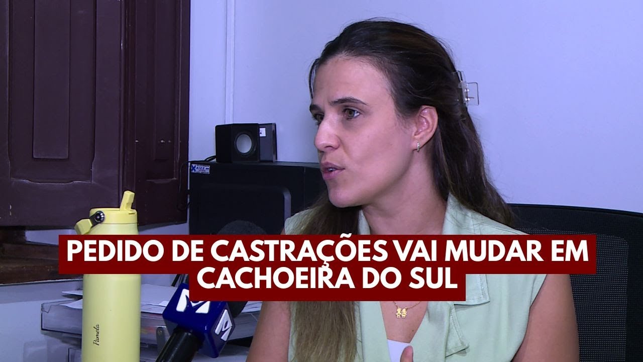 Pedido de castrações vai mudar em Cachoeira do Sul
