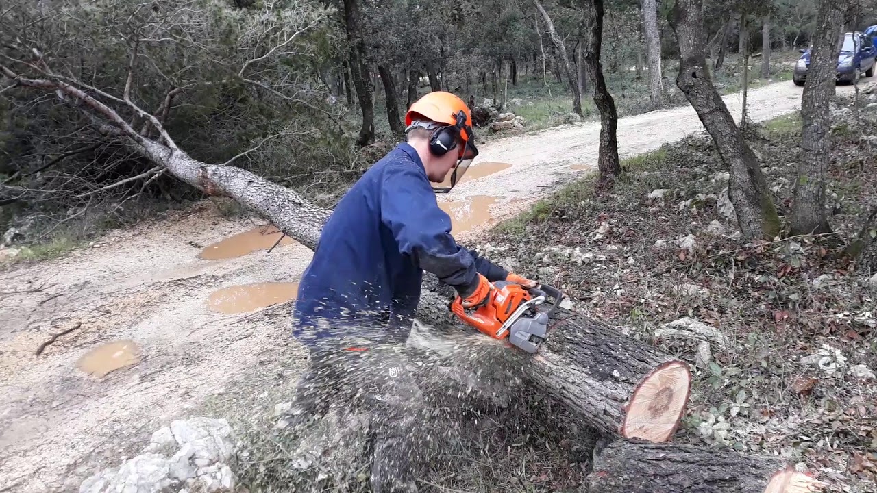 Josko filipovic profesionalni sjekac radi sa husqvarna 550xp na prosirenju protupozarnih puteva