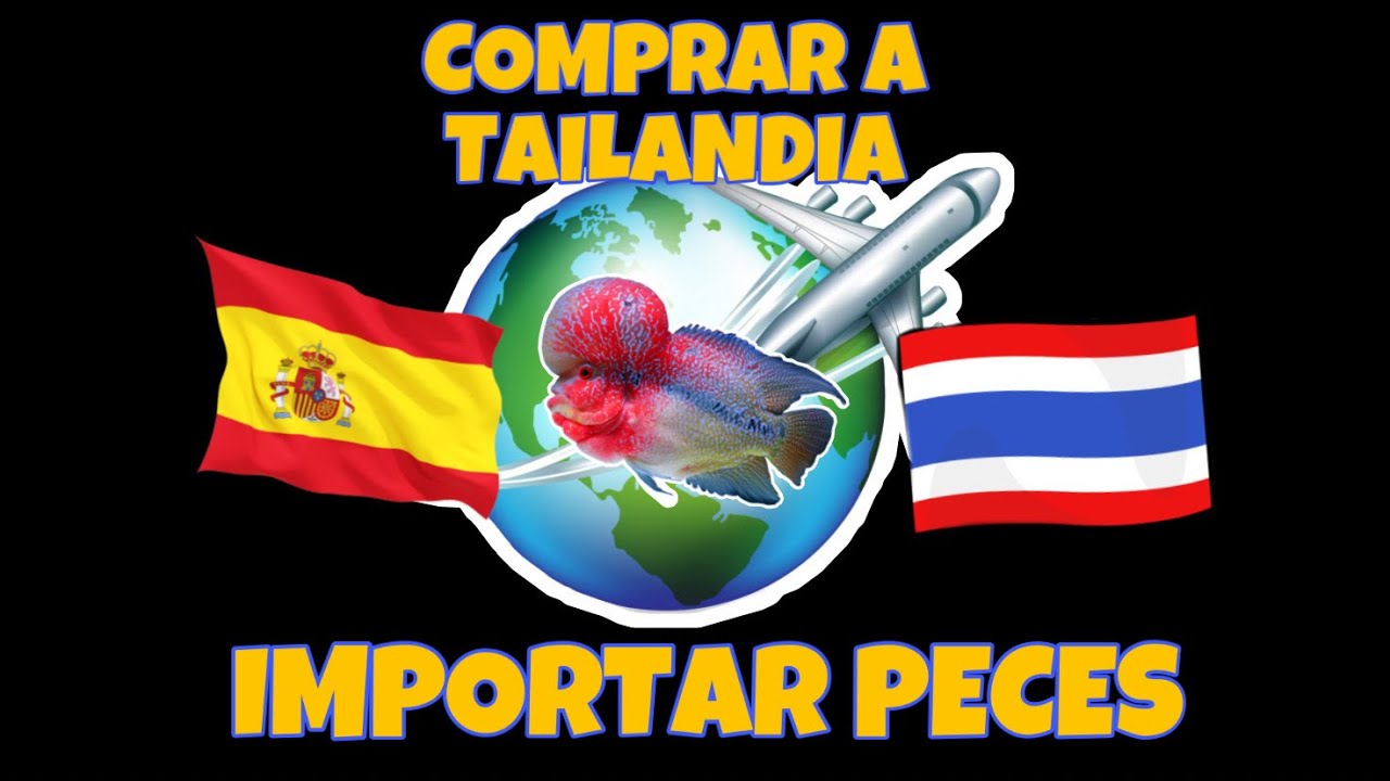 Como IMPORTAR PECES de TAILANDIA. Como COMPRAR Peces HIBRIDOS directamente hasta tu casa.