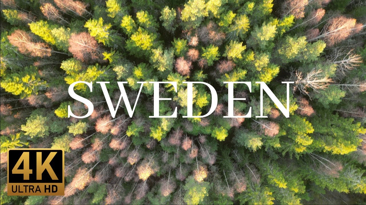 SWEDEN IN 4K - Peaceful Nature and Endless Forests - Relaxing Music