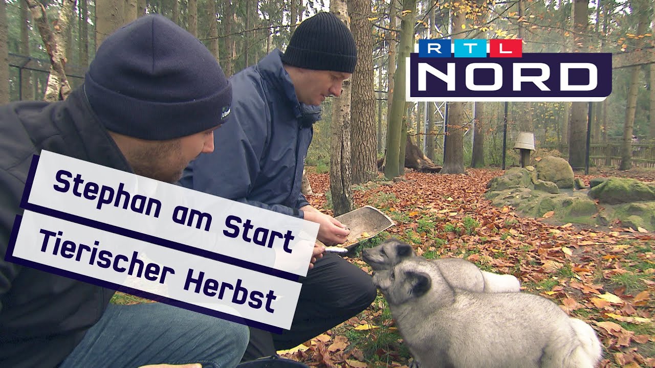 Einen Tag als Tierpfleger