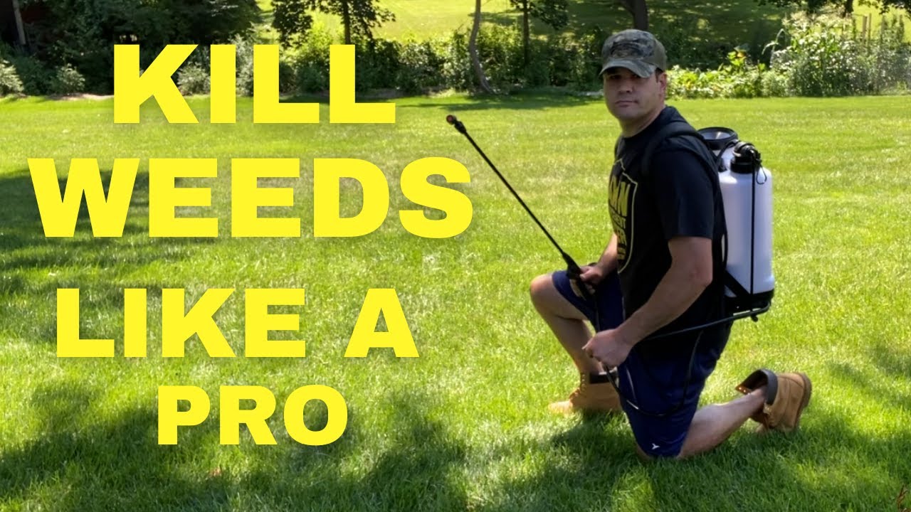 EASILY KILL WEEDS LIKE A PRO // How To Control All Weeds In Your Lawn
