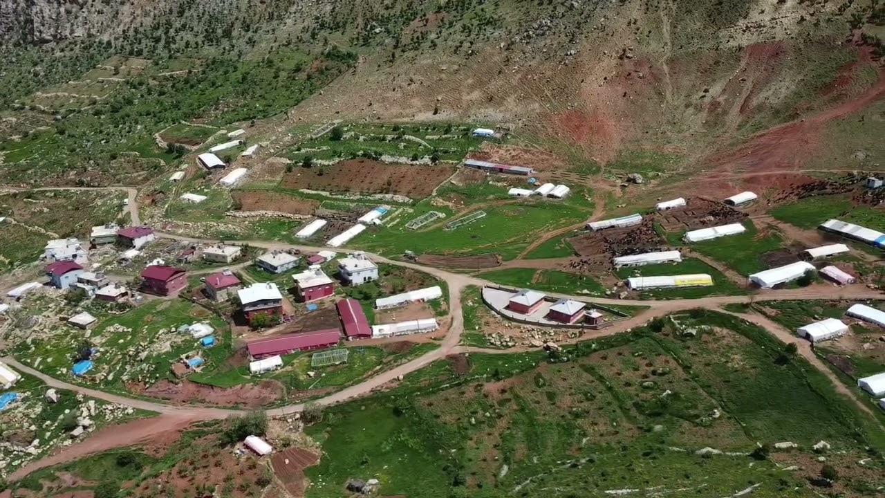 Siirt eruh kuşdalı köyü ( GUNDE ŞAWURAN ŞİKAL  )