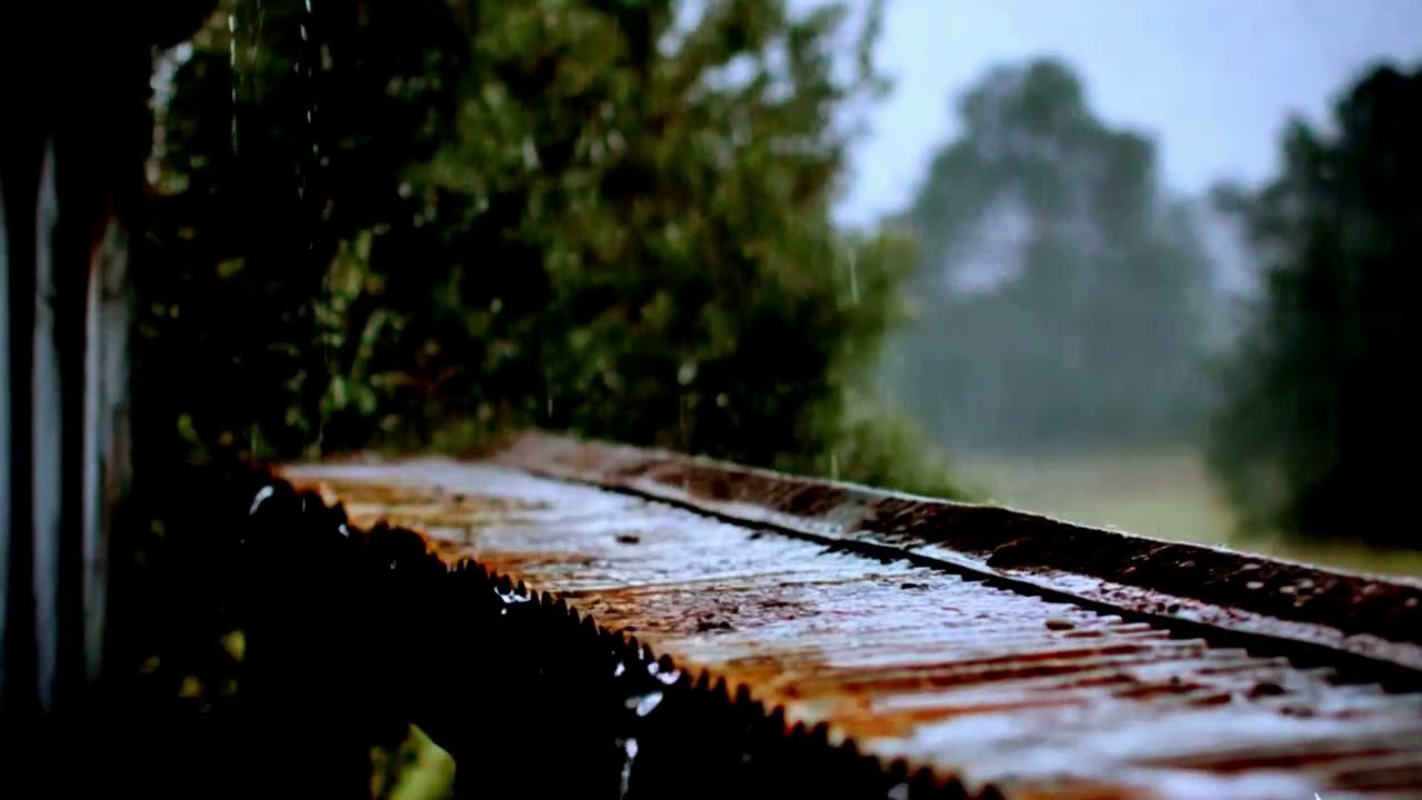 ► Tin Roof Sounds for Sleeping | 8 hours of Rain and Thunder on a Metal Shed | Rain on a Metal Roof