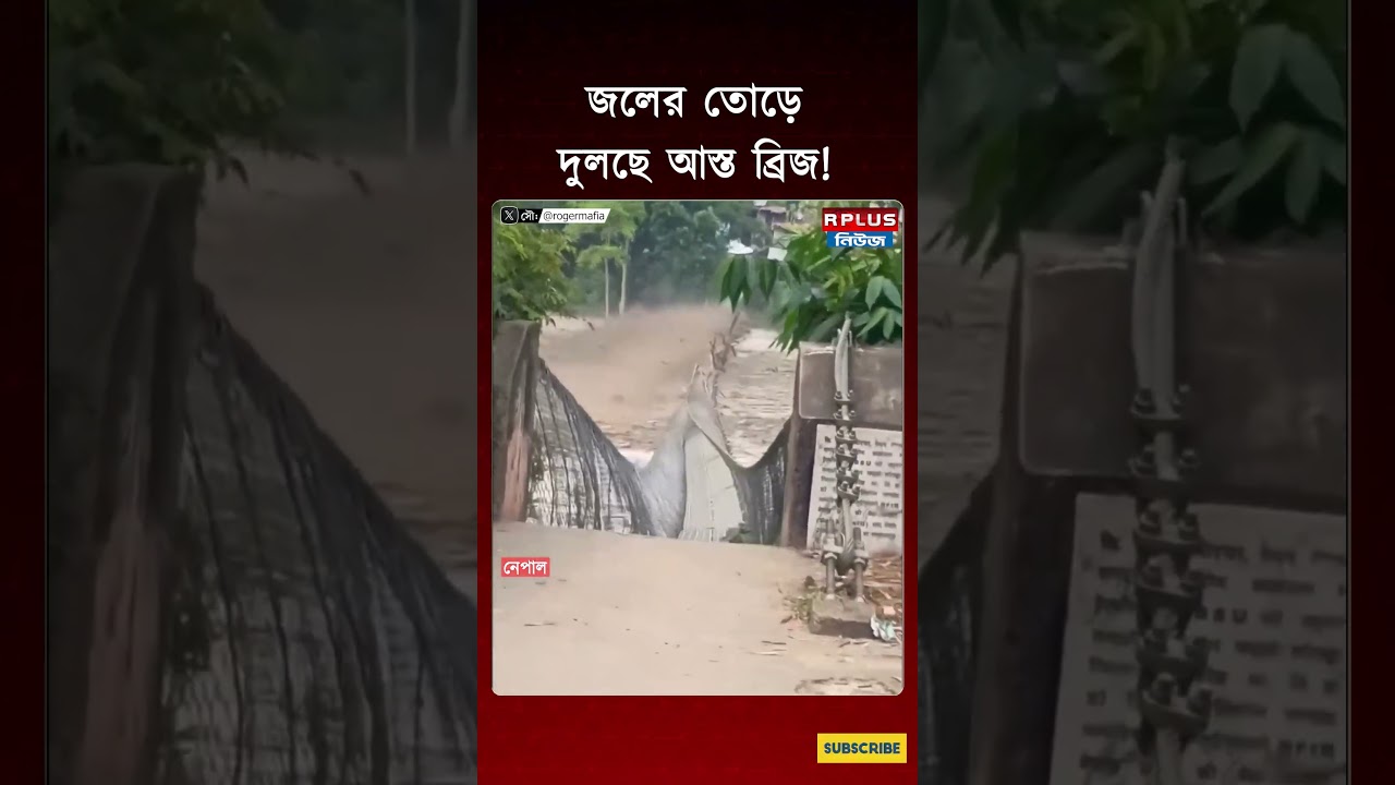 Nepal Flash FLood: জলের তোড়ে দুলছে আস্ত একটা ব্রিজ! | Nepal News | Flood Update