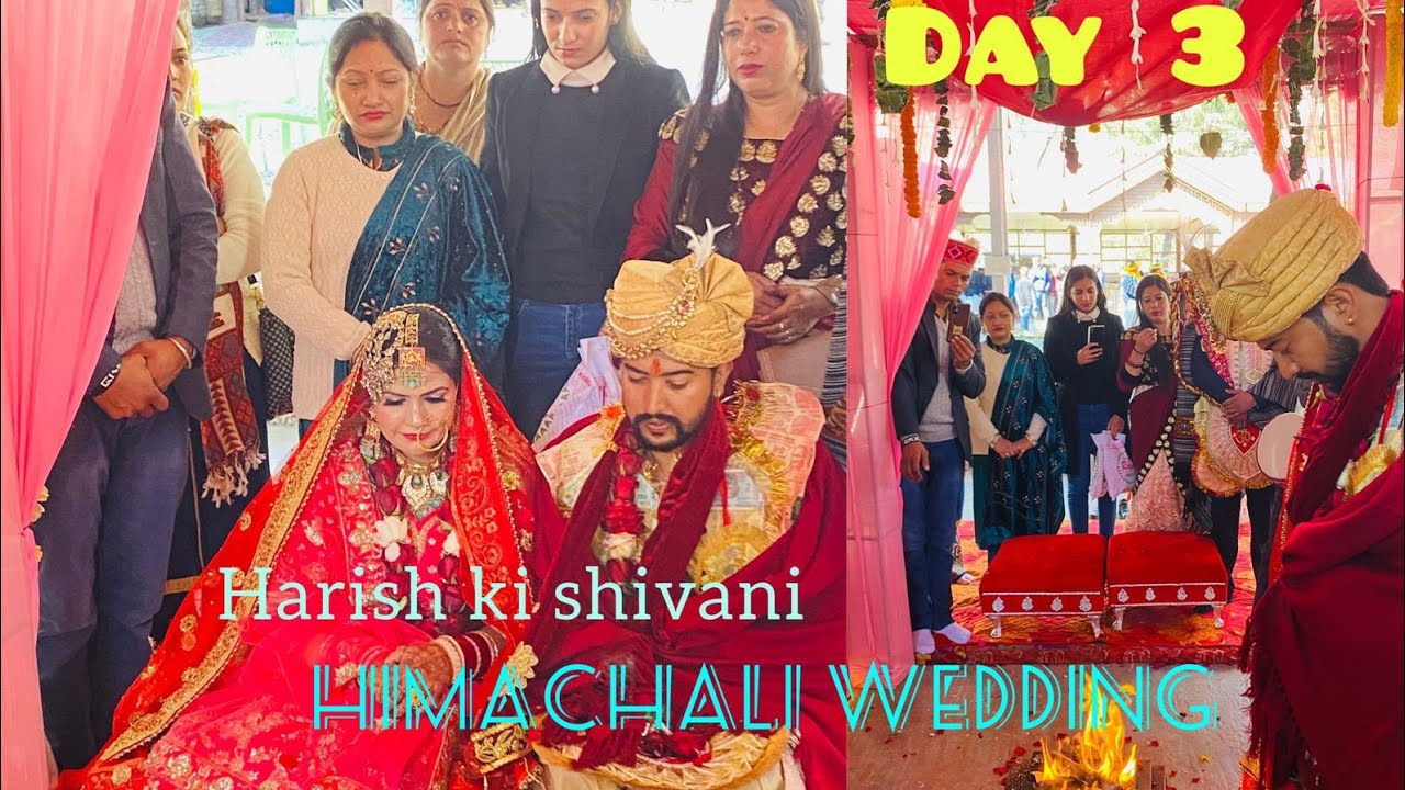 Himachali wedding | Day 3 | Kullvi Dance | #manali #love #mountains #wedding @being_poonam
