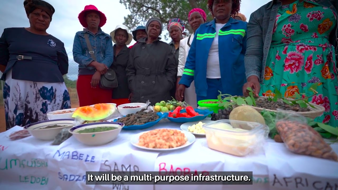 Piloting of a reliable solar powered drying facility for mopane worms in Zimbabwe