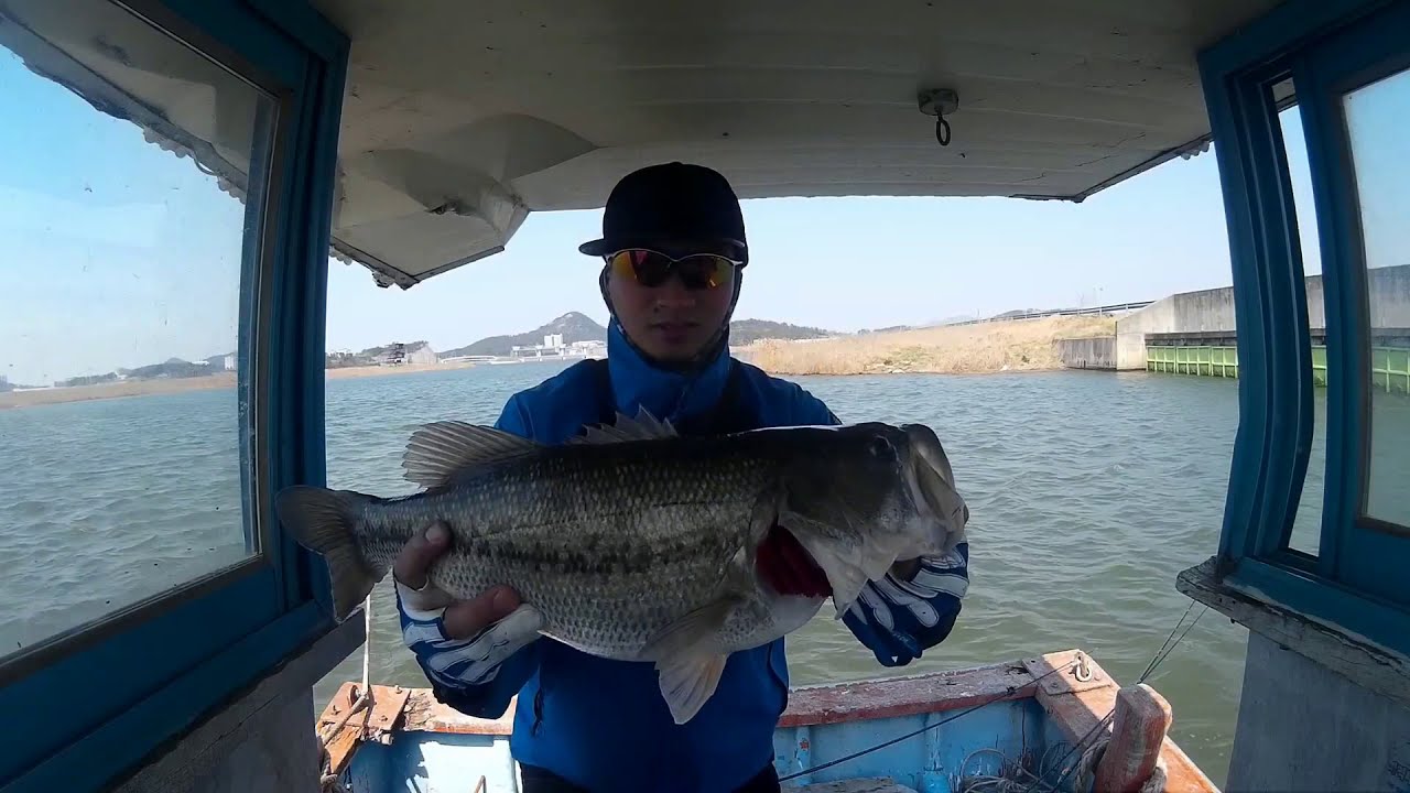 MY BIGGEST BASS | south Korea bass fishing