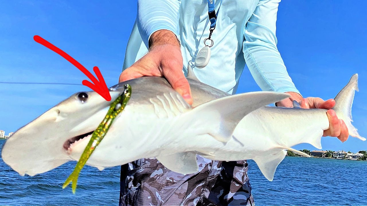 Use THIS Lure On The Flats To Catch Bonnethead Sharks