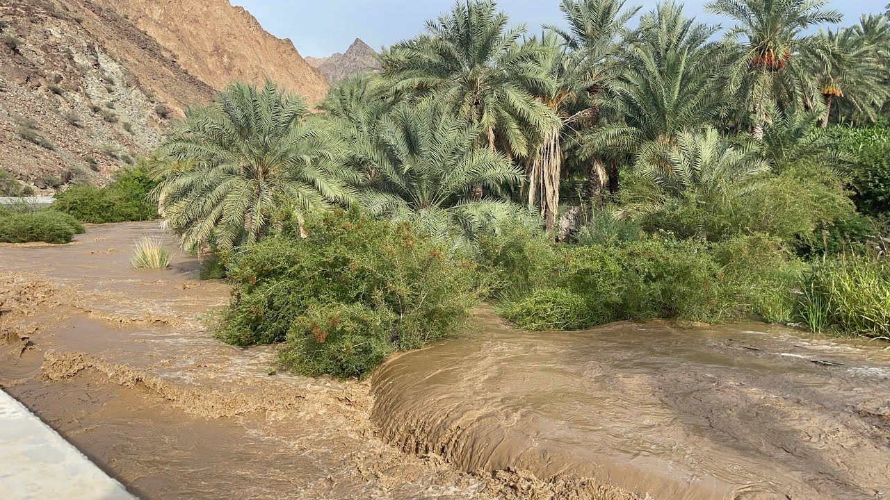 Lucky escape when peaceful trip in wadi becomes dangerous