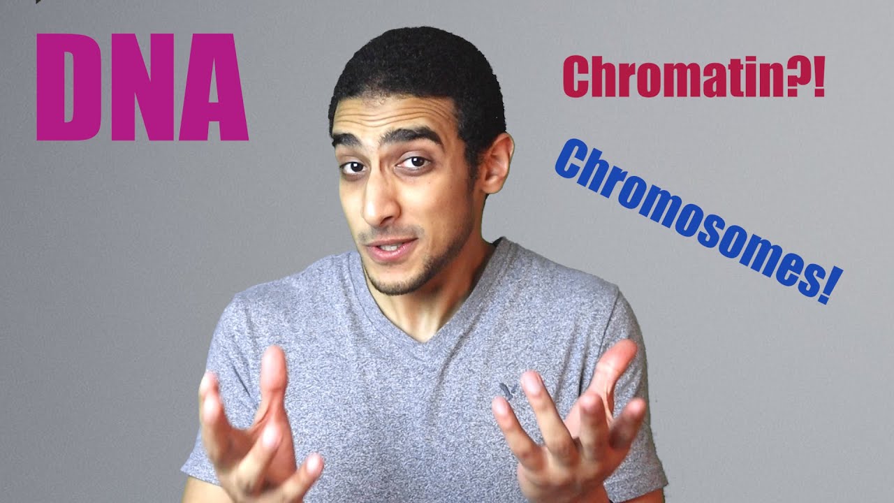 What is a DNA?