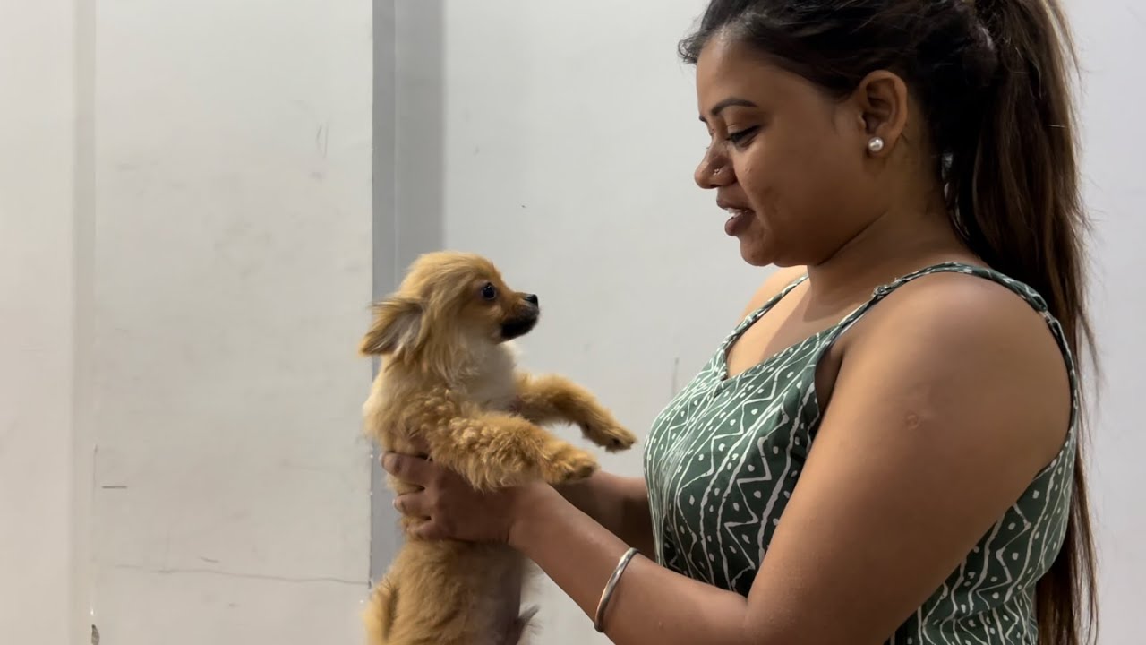 Nikki Karti sirf burfi ko pyaar