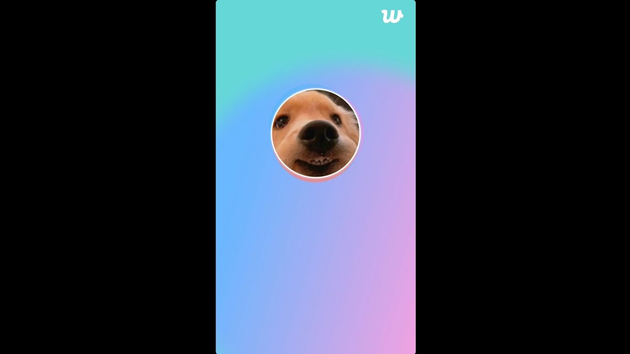 260406 EXO BAEKHYUN WEVERSE LIVE Voice only. 엑소 백현 위버스라이브 보이스 