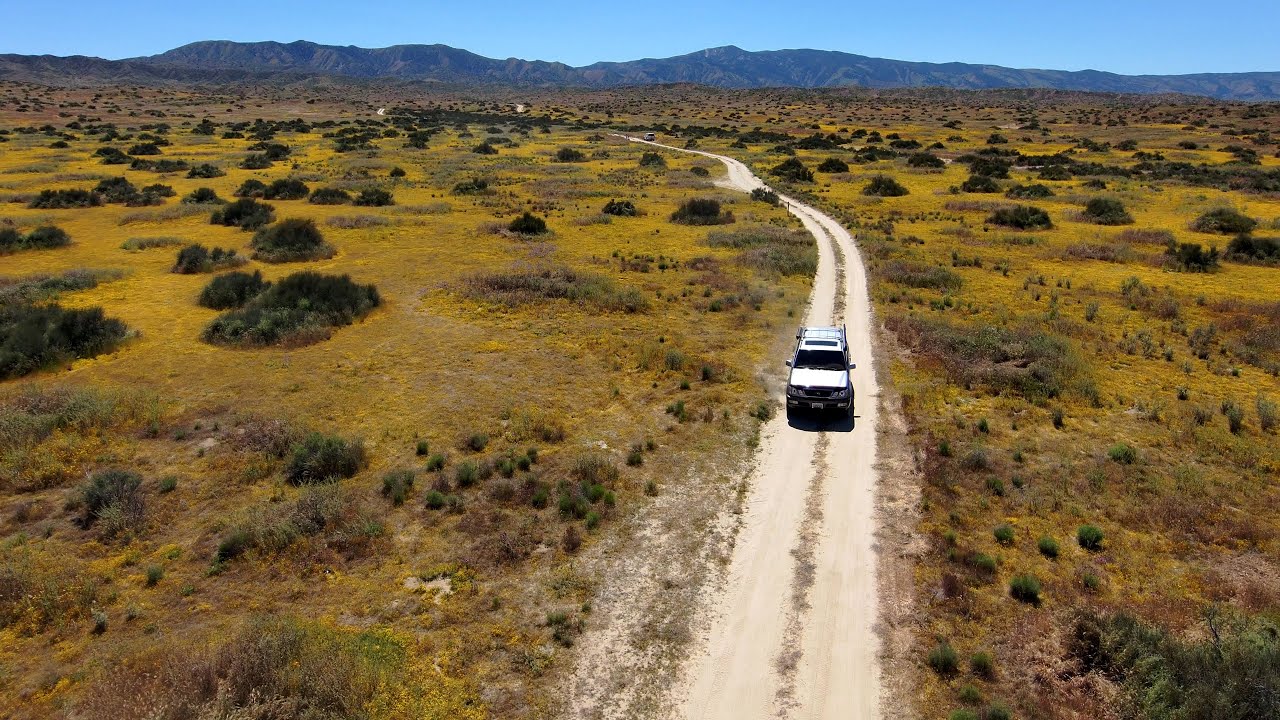 Carrizo Plains National Monument (Drone)