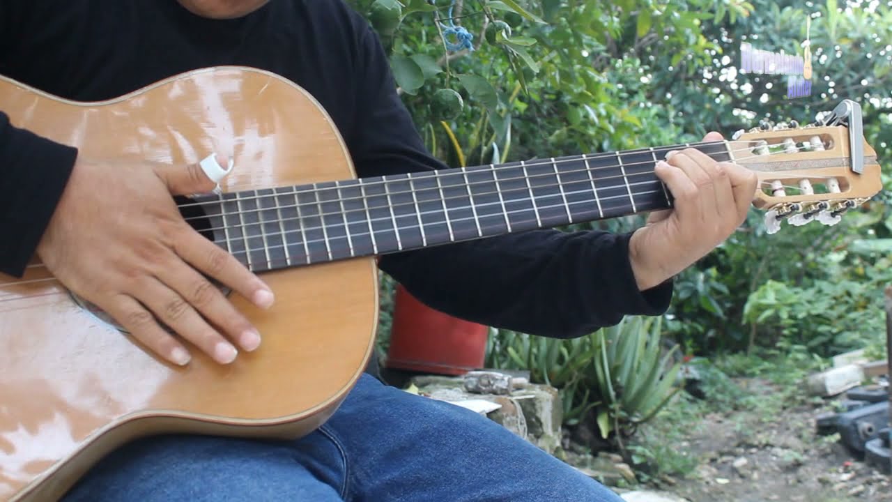 Ritmos de guitarra - Gustos de Tierra caliente en guitarra