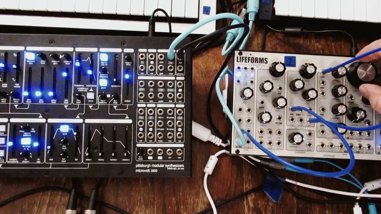 Passenger- Wayne Rowand- Pittsburgh Modular SV1/ Microvolt 3900