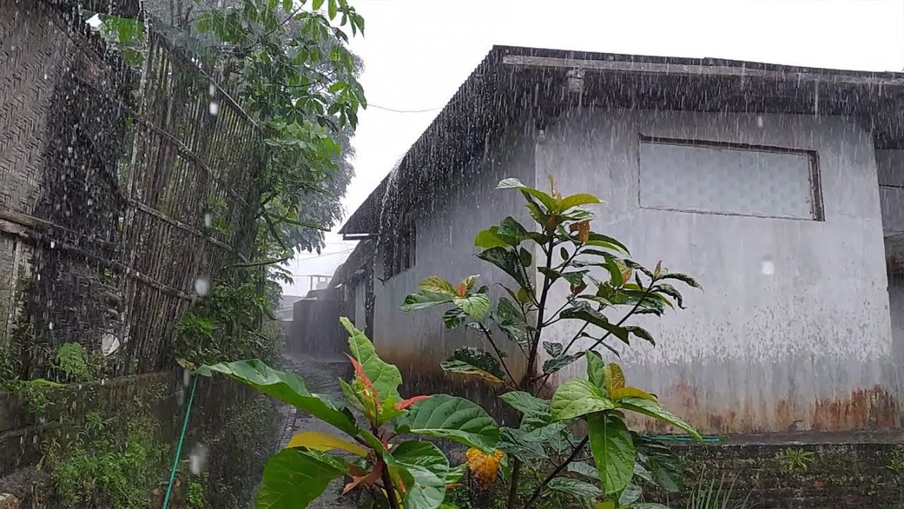 A HEAVY RAIN ATMORALS IN A NATURAL AND BEAUTIFUL RURAL AREA - PERFECT FOR CALMING THE MIND