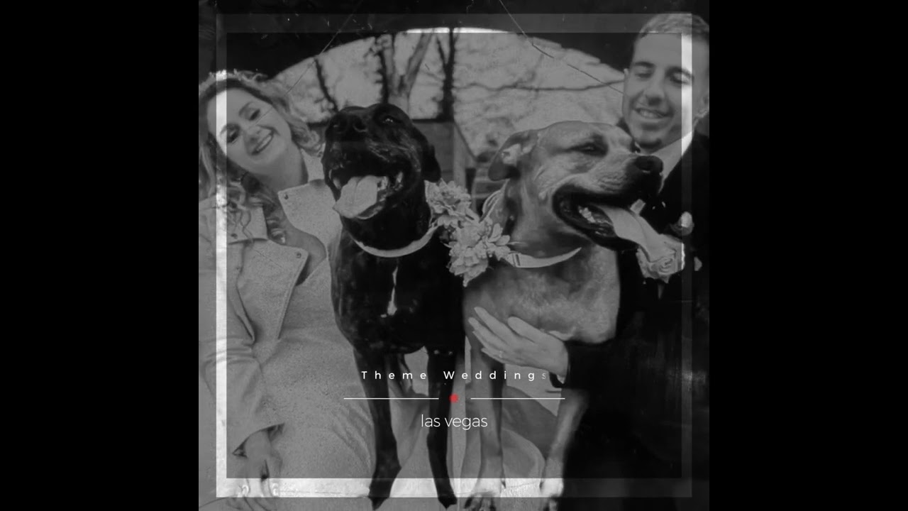 Unleash Your Dream Pet Wedding at Theme Weddings Las Vegas!