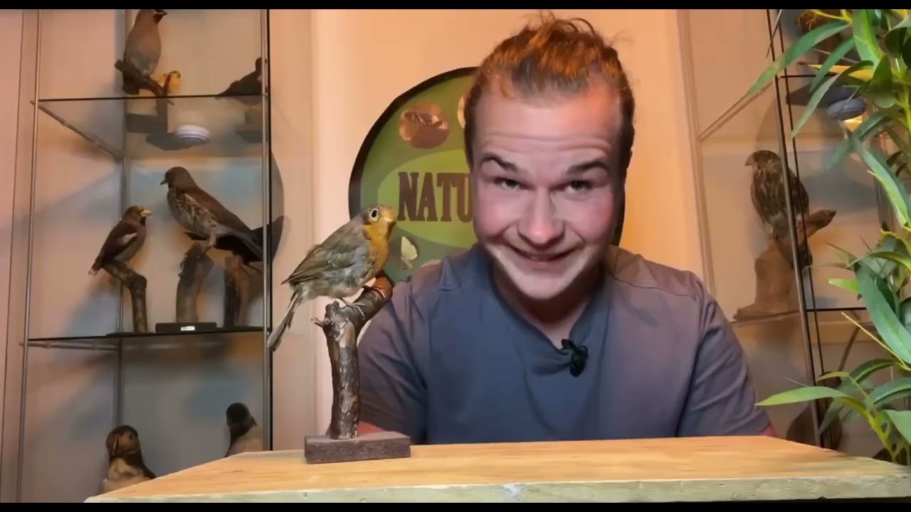 Rødhals