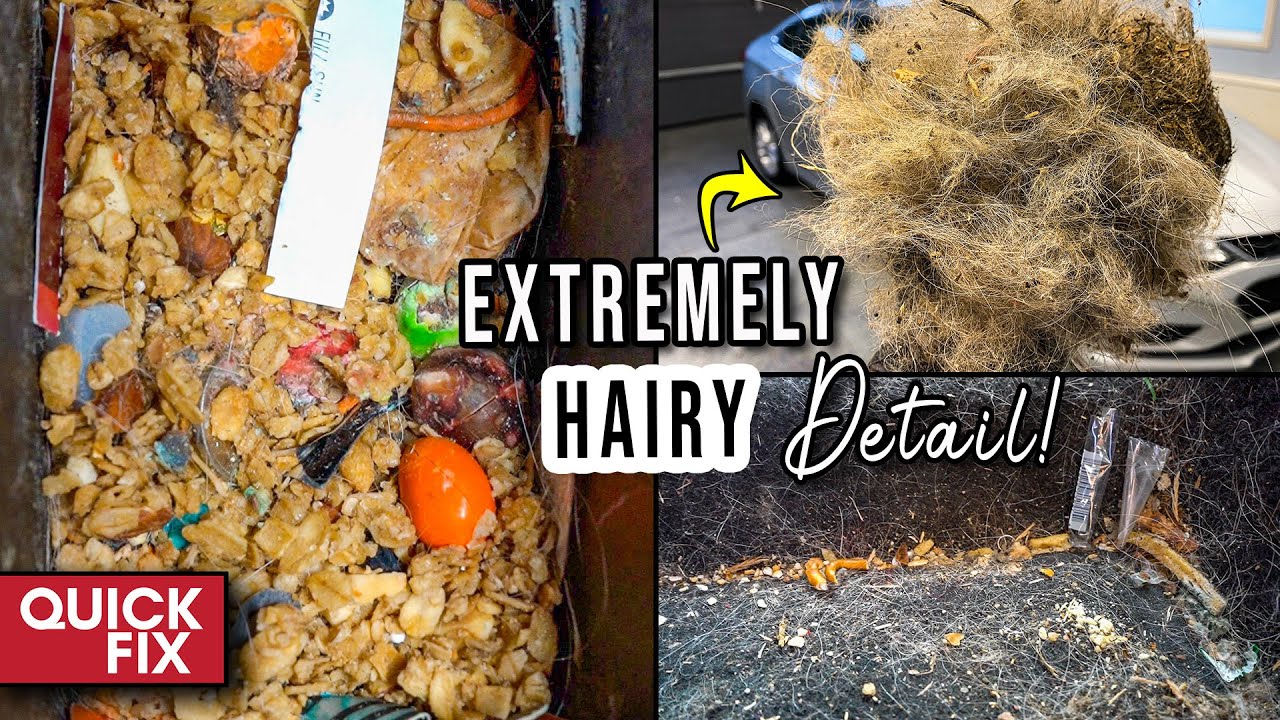 Deep Cleaning a SUPER HAIRY Dog Kennel on Wheels!
