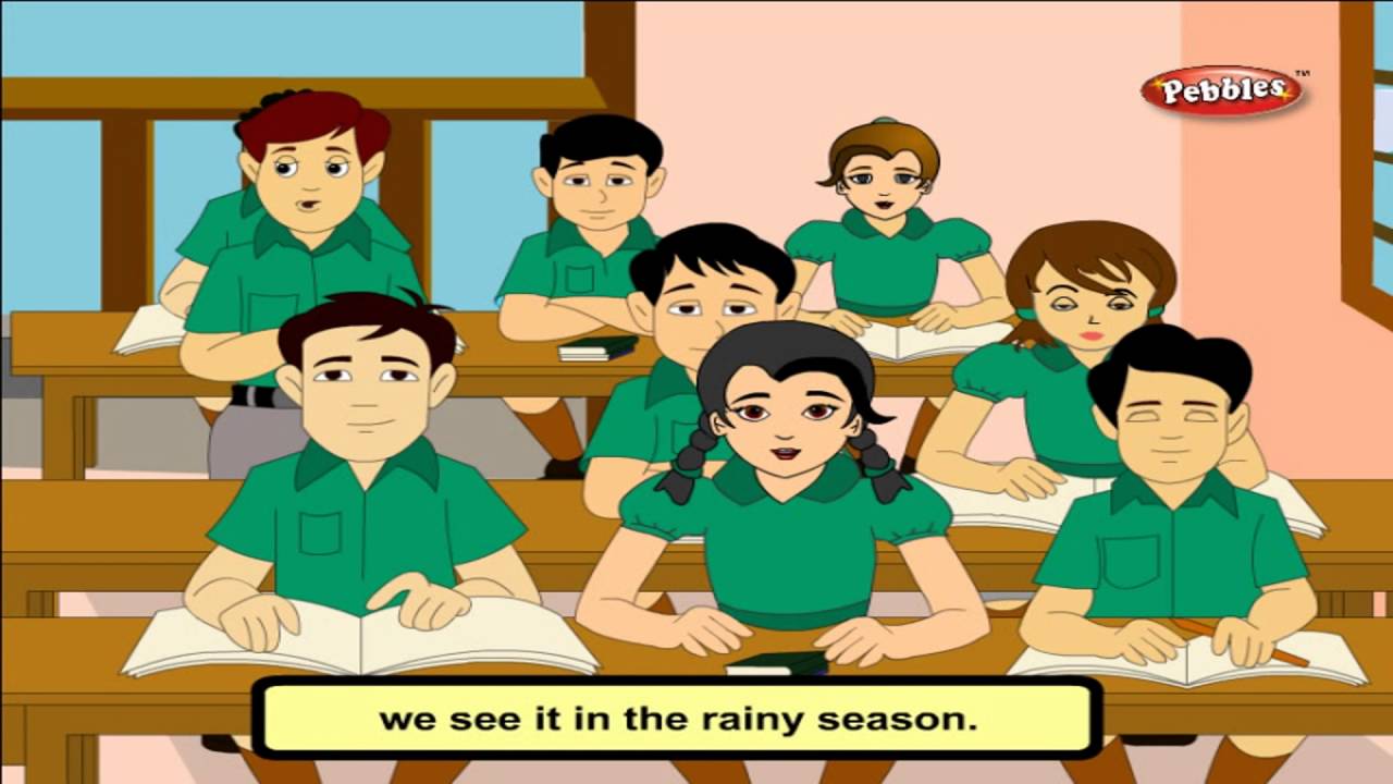 Cbse 4th CBSE SCIENCE | Soil | NCERT | CBSE Syllabus | Animated Video