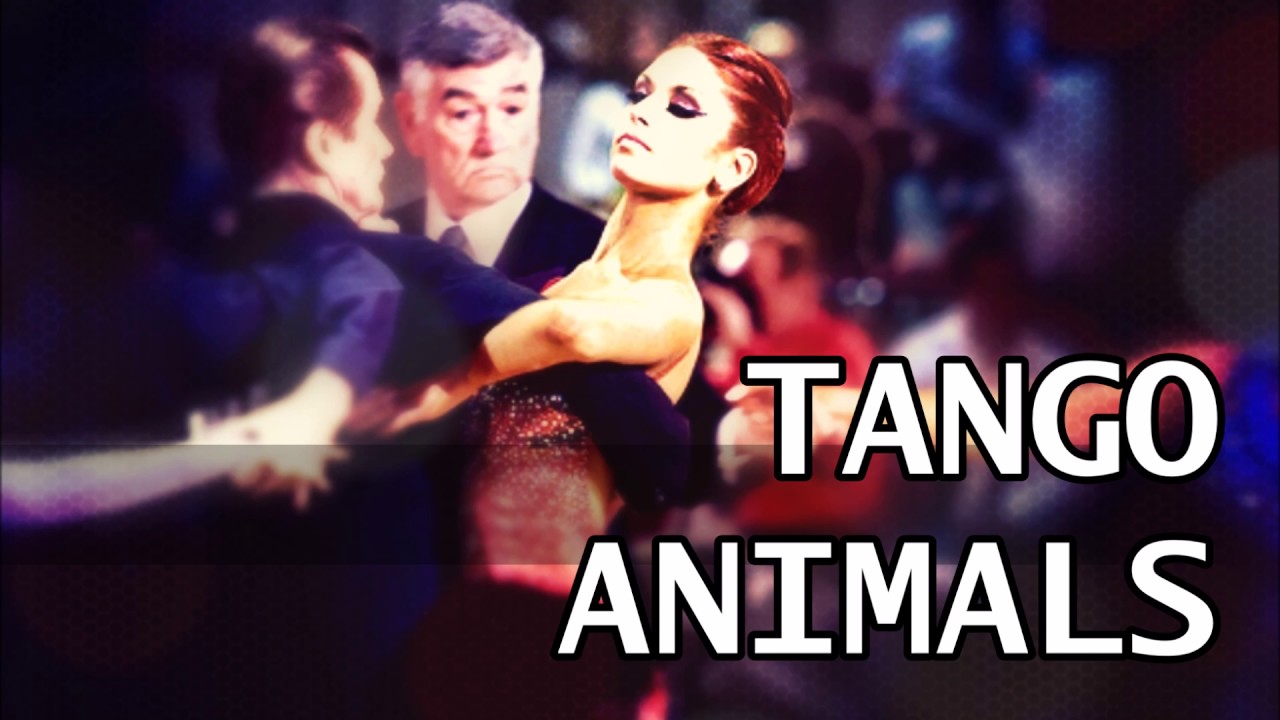 Tango - Animals