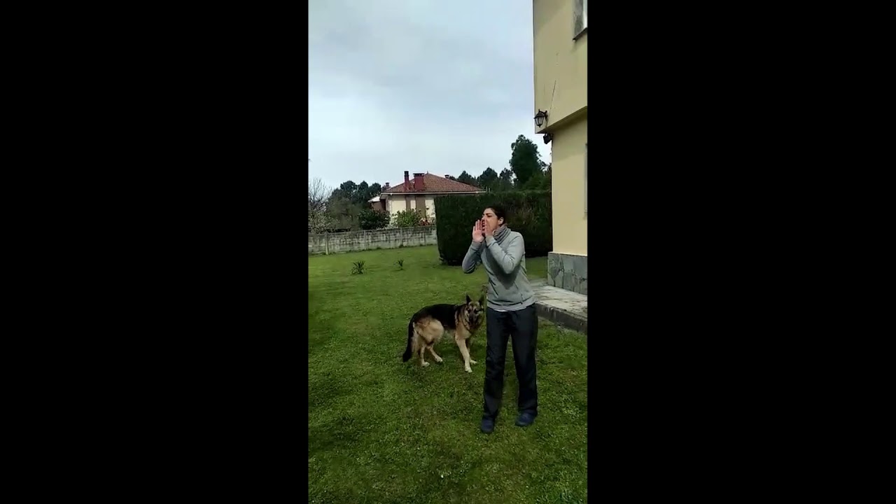 canción dos 3 porquiños