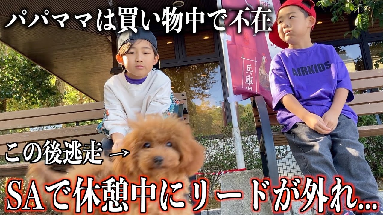みりんとの初旅行で悲劇連発…‼︎ペットと行く旅行の大変さと嬉しさを知りました。