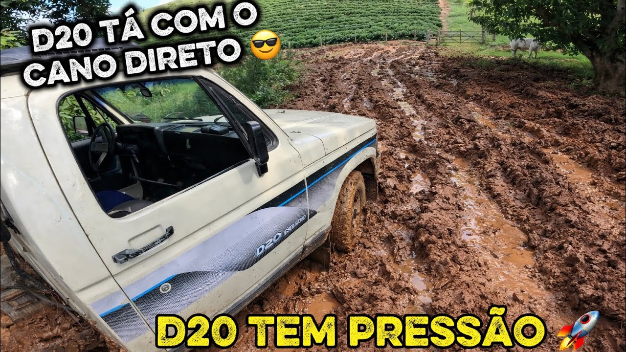 Dia a dia de um motorista leiteiro 🚛🇧🇷 hoje fui fazer um socorro na D20, essa caminhonete é luxo.