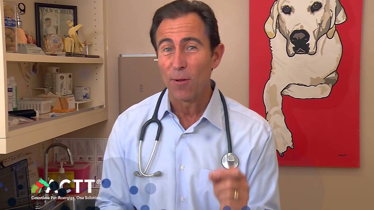 10 - Cost of Allergy Testing