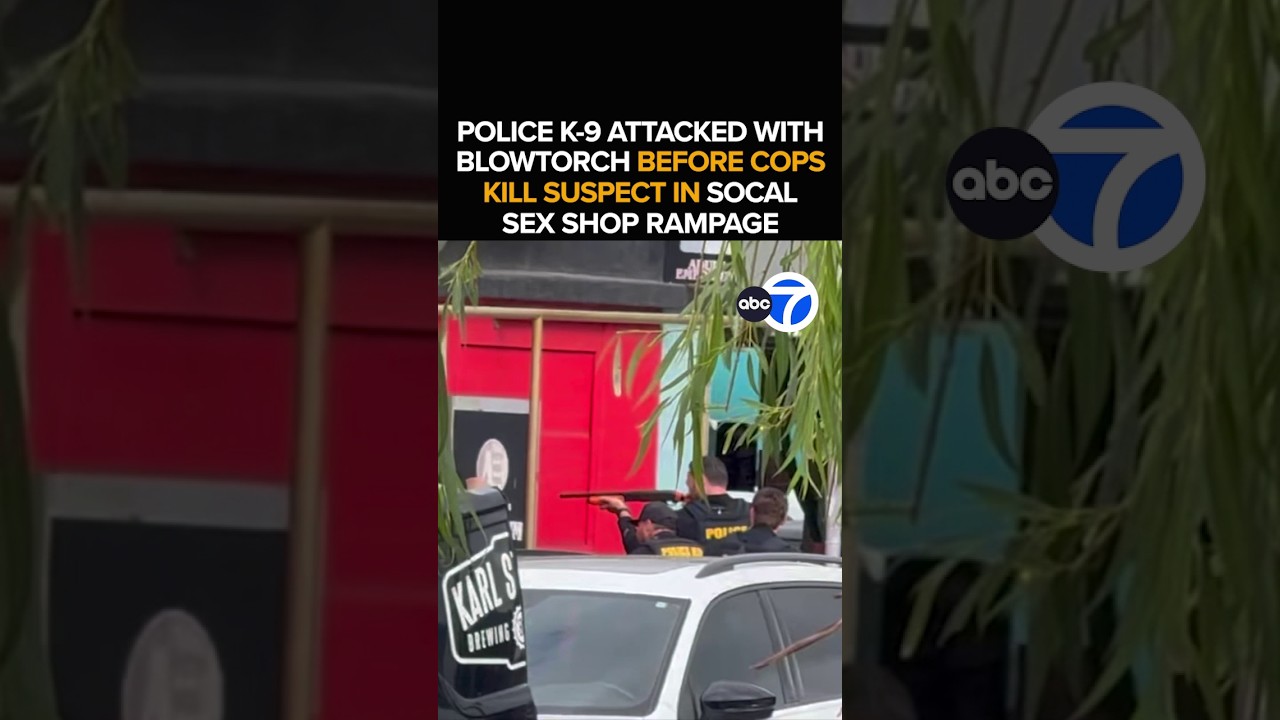 Police shoot, kill man who set K-9, himself on fire inside adult store